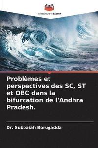 bokomslag Problmes et perspectives des SC, ST et OBC dans la bifurcation de l'Andhra Pradesh.