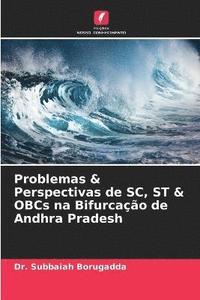bokomslag Problemas & Perspectivas de SC, ST & OBCs na Bifurcao de Andhra Pradesh