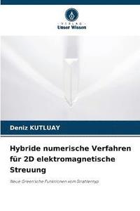 bokomslag Hybride numerische Verfahren fr 2D elektromagnetische Streuung