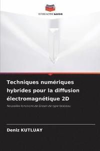 bokomslag Techniques numriques hybrides pour la diffusion lectromagntique 2D