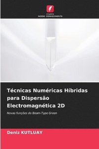 bokomslag Tcnicas Numricas Hbridas para Disperso Electromagntica 2D