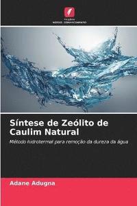 bokomslag Sntese de Zelito de Caulim Natural