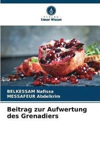 bokomslag Beitrag zur Aufwertung des Grenadiers