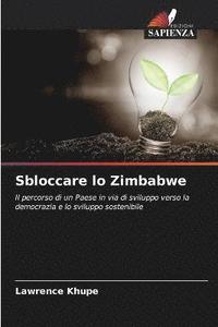 bokomslag Sbloccare lo Zimbabwe