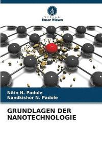 bokomslag Grundlagen Der Nanotechnologie