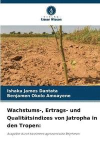 bokomslag Wachstums-, Ertrags- und Qualittsindizes von Jatropha in den Tropen