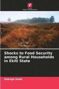 bokomslag Shocks to Food Security among Rural Households in Ekiti State