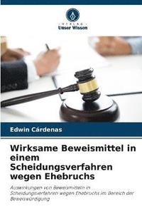 bokomslag Wirksame Beweismittel in einem Scheidungsverfahren wegen Ehebruchs