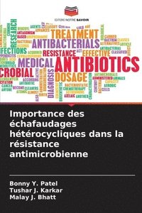 bokomslag Importance des chafaudages htrocycliques dans la rsistance antimicrobienne
