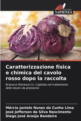 bokomslag Caratterizzazione fisica e chimica del cavolo rosso dopo la raccolta