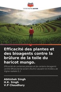 bokomslag Efficacit des plantes et des bioagents contre la brlure de la toile du haricot mungo.