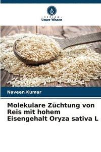 bokomslag Molekulare Zuchtung von Reis mit hohem Eisengehalt Oryza sativa L