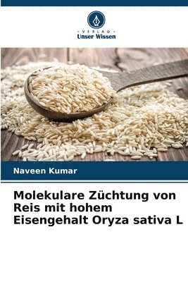 Molekulare Zuchtung von Reis mit hohem Eisengehalt Oryza sativa L 1