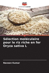 bokomslag Selection moleculaire pour le riz riche en fer Oryza sativa L