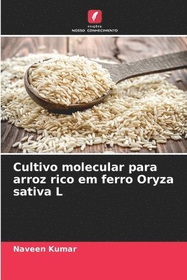 Cultivo molecular para arroz rico em ferro Oryza sativa L 1