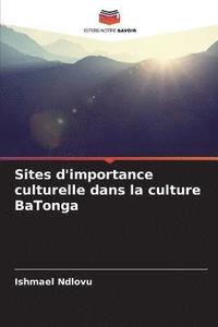 bokomslag Sites d'importance culturelle dans la culture BaTonga