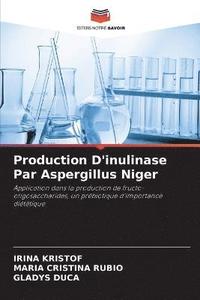 bokomslag Production D'inulinase Par Aspergillus Niger