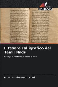 bokomslag Il tesoro calligrafico del Tamil Nadu