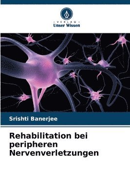 Rehabilitation bei peripheren Nervenverletzungen 1