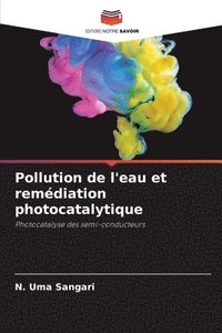 bokomslag Pollution de l'eau et remdiation photocatalytique