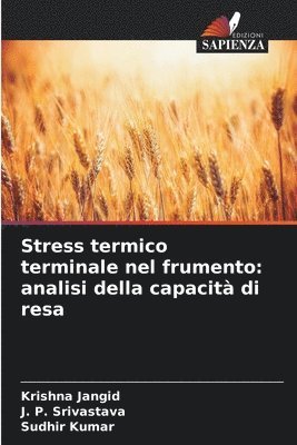 Stress termico terminale nel frumento 1
