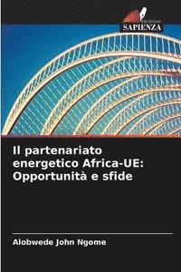 bokomslag Il partenariato energetico Africa-UE