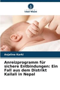 bokomslag Anreizprogramm fr sichere Entbindungen