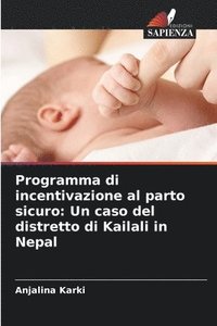 bokomslag Programma di incentivazione al parto sicuro
