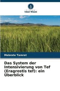 bokomslag Das System der Intensivierung von Tef (Eragrostis tef)