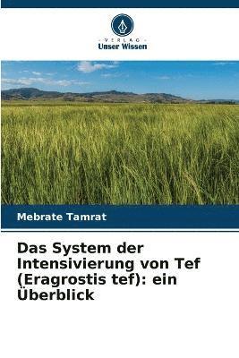 bokomslag Das System der Intensivierung von Tef (Eragrostis tef)