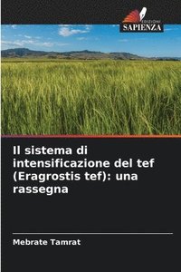 bokomslag Il sistema di intensificazione del tef (Eragrostis tef)