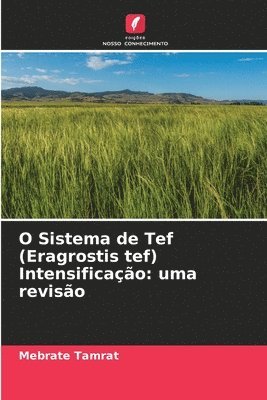 O Sistema de Tef (Eragrostis tef) Intensificao 1