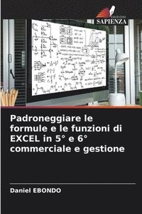 bokomslag Padroneggiare le formule e le funzioni di EXCEL in 5 Degrees e 6 Degrees commerciale e gestione