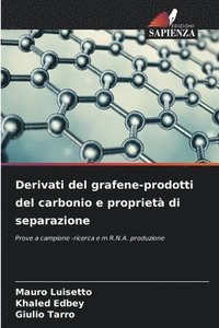 bokomslag Derivati &#8203;&#8203;del grafene-prodotti del carbonio e proprieta di separazione