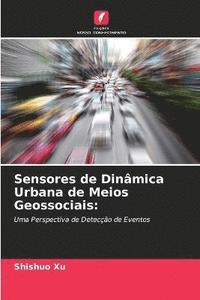 bokomslag Sensores de Dinamica Urbana de Meios Geossociais