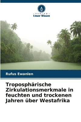 bokomslag Troposphrische Zirkulationsmerkmale in feuchten und trockenen Jahren ber Westafrika