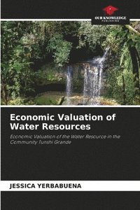 bokomslag Economic Valuation of Water Resources