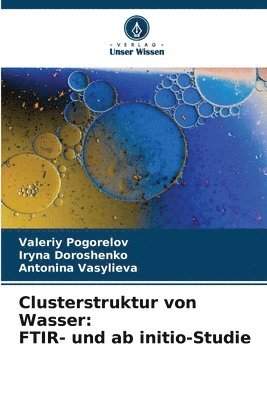 bokomslag Clusterstruktur von Wasser