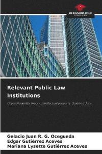 bokomslag Relevant Public Law Institutions
