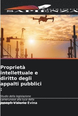 Propriet intellettuale e diritto degli appalti pubblici 1