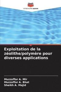 bokomslag Exploitation de la zolithe/polymre pour diverses applications