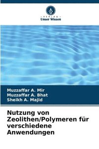 bokomslag Nutzung von Zeolithen/Polymeren fr verschiedene Anwendungen