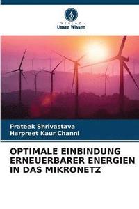 bokomslag Optimale Einbindung Erneuerbarer Energien in Das Mikronetz