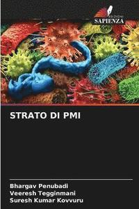 bokomslag Strato Di PMI