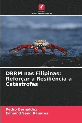 DRRM nas Filipinas 1