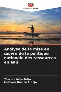 bokomslag Analyse de la mise en oeuvre de la politique nationale des ressources en eau