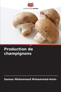 bokomslag Production de champignons