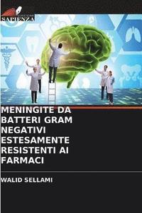 bokomslag Meningite Da Batteri Gram Negativi Estesamente Resistenti AI Farmaci