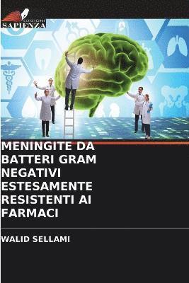 Meningite Da Batteri Gram Negativi Estesamente Resistenti AI Farmaci 1