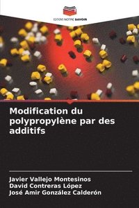 bokomslag Modification du polypropylne par des additifs